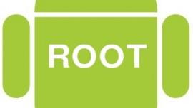 Root