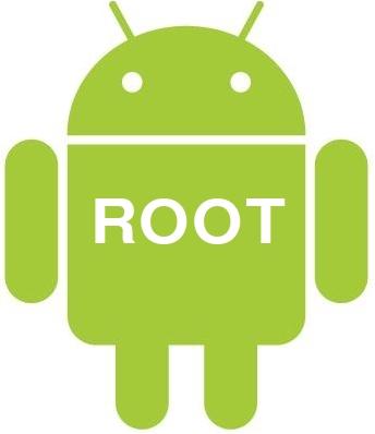 Root