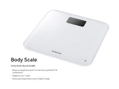 body scale