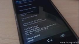 Google-Nexus-4-Android-4.3-impostazioni