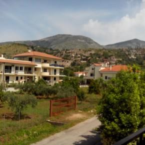 Foto di prova ZOPO 950+
