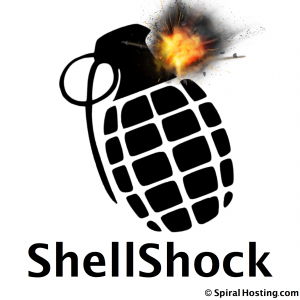 ShellShock-Linux