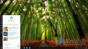Cortana su Windows
