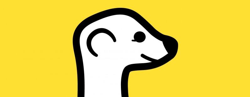 Meerkat come funziona