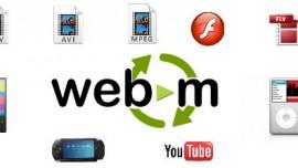 WebM Windows 10