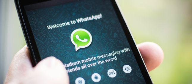 Whatsapp beta condivisione PDF