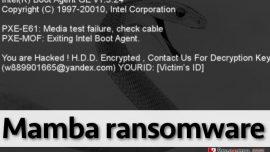 ransomware Mamba virus
